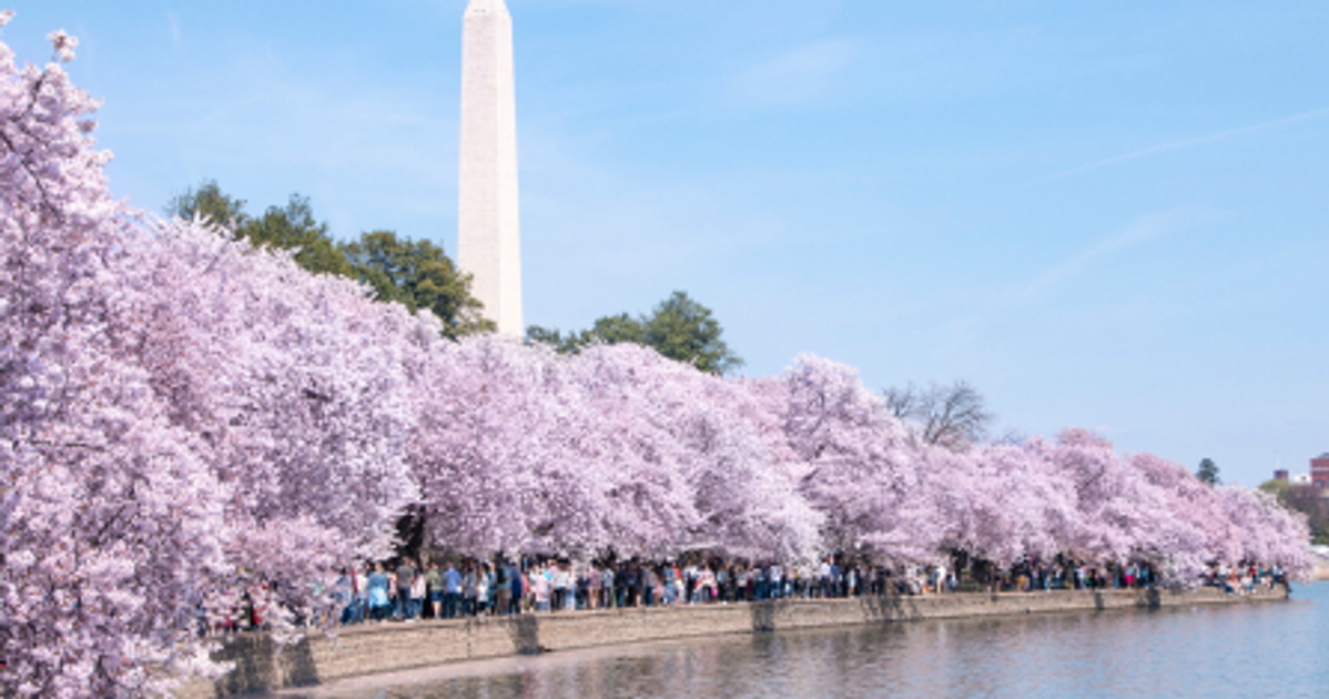 Topics | United States Studies Centre