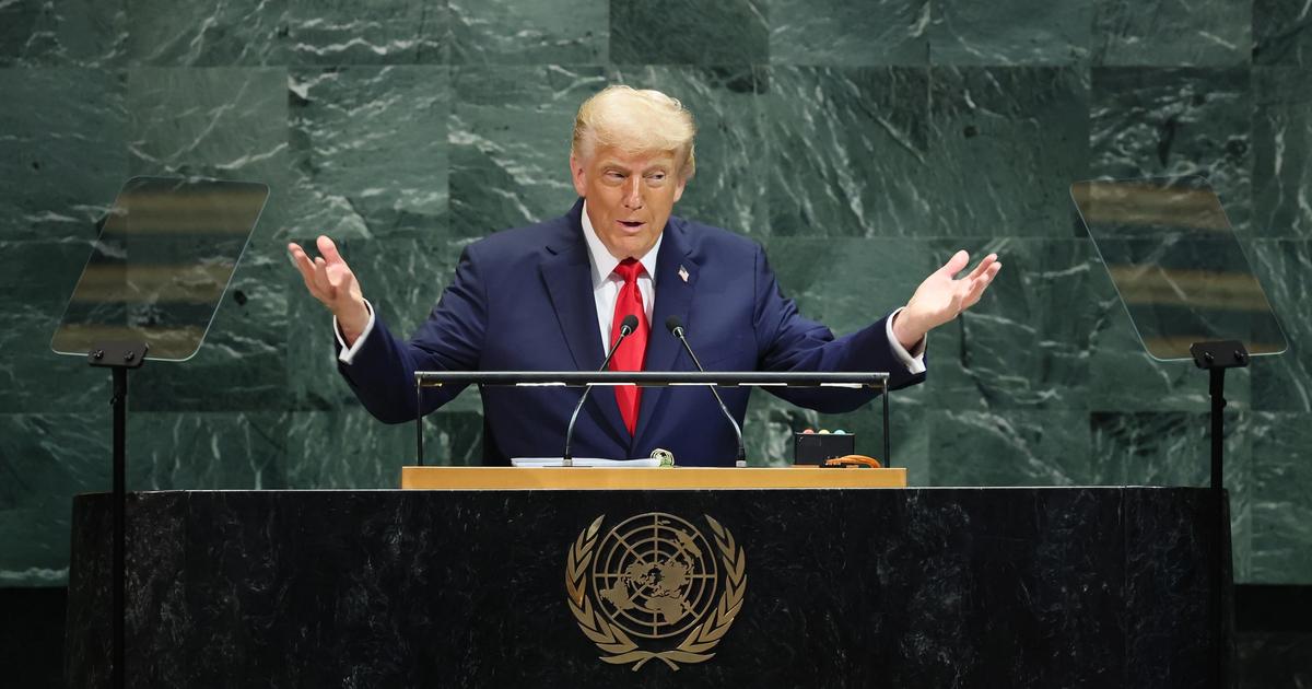 Donald Trump ‘bells the cat’ on United Nations ineptitude