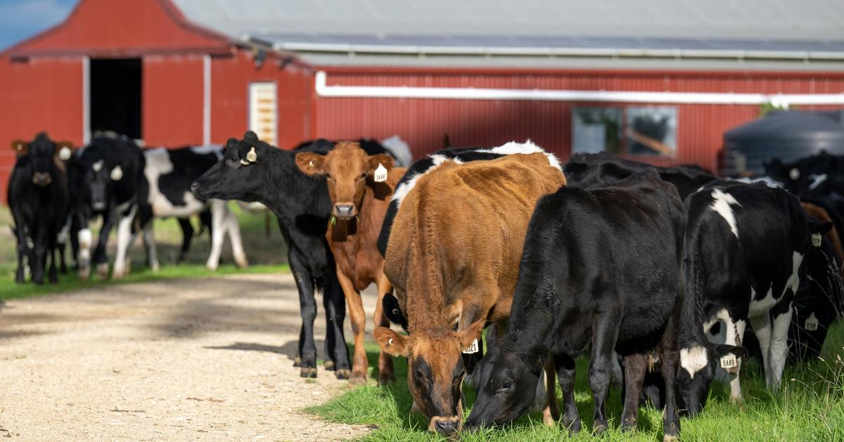 Trump’s trade war backfires as Australian exports to the US surge