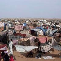 <br />
<b>Warning</b>:  Undefined variable $myimgalt in <b>/www/wwwroot/kmnewsmedia.cn/wp-content/themes/ennews001/single.php</b> on line <b>213</b><br />
